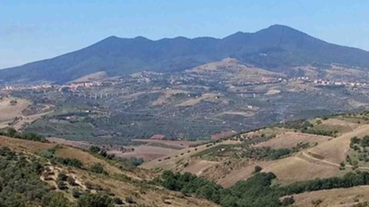 L’Oasi della Biodiversità del Gruppo Cassa Centrale - immagine 6
